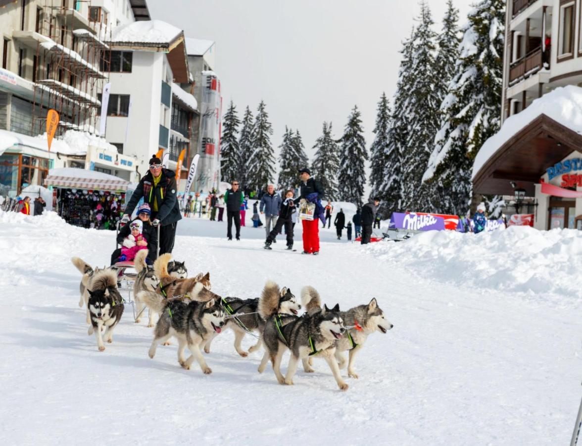 Elitza Villa Pamporovo Buitenkant foto