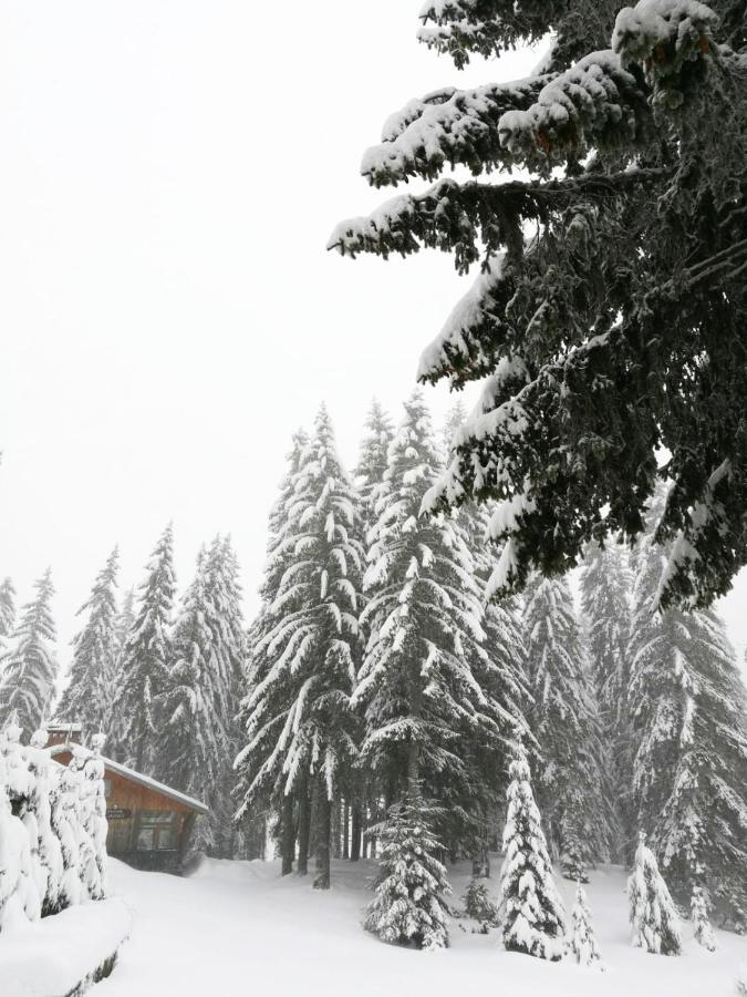 Elitza Villa Pamporovo Buitenkant foto