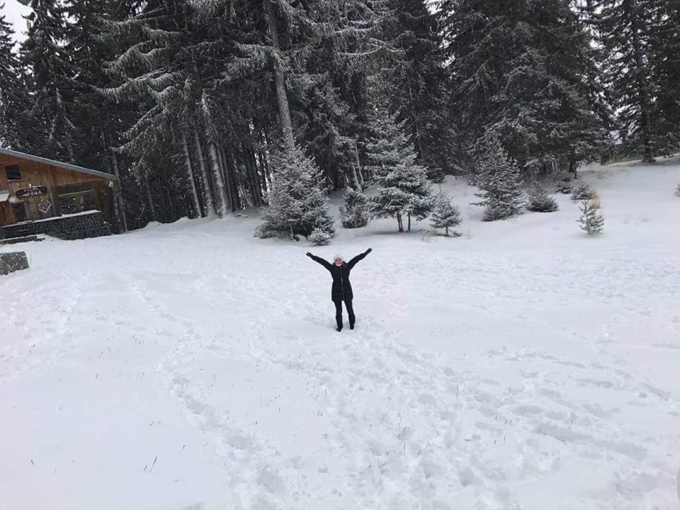 Elitza Villa Pamporovo Buitenkant foto